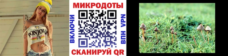 blacksprut ССЫЛКА  закладки  Медынь  Псилоцибиновые грибы Cubensis 